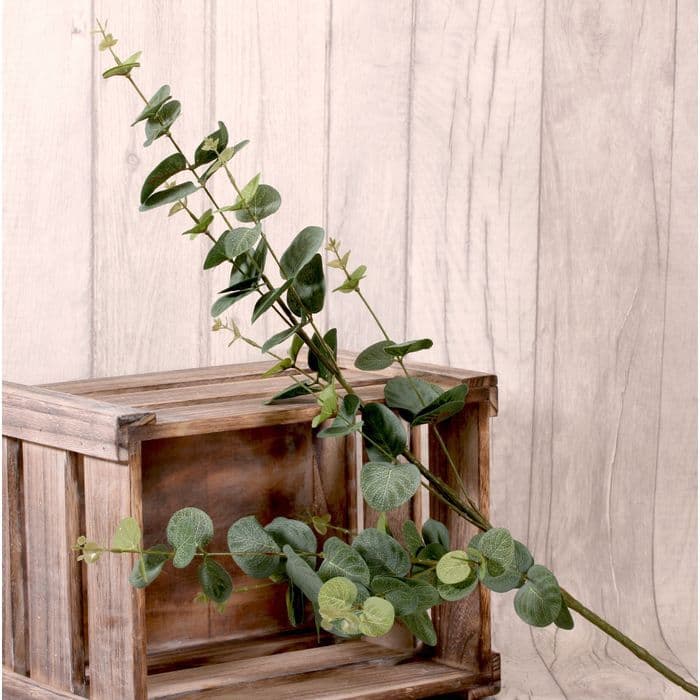 Eucalyptus Spray 92cm